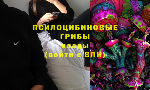 трава Алексин