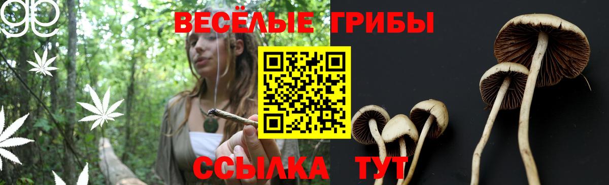 Галлюциногенные грибы MAGIC MUSHROOMS  Вход с VPN  Орск 